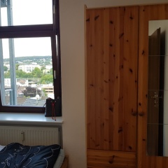 Apartment im Luisenviertel - Grün - Bild 4