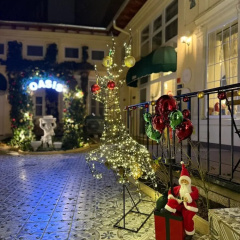 Oasis Inn Budapest - Bild 17