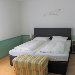 Ulmer Spatz - Bild 3