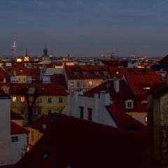 Lazenska N°4 - Bild 17