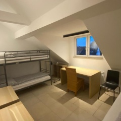 BS Living Ap am Zoo - Bild 5