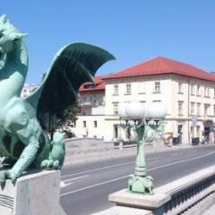 Отель Vega Apartments Ljubljana Словения, Любляна - отзывы, цены и фото номеров - забронировать отель Vega Apartments Ljubljana онлайн фото 19