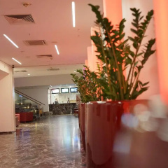 ARCOTEL Rubin Hamburg - Bild 15