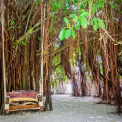 Namaste Beach Club & Hotel thumbnail 41