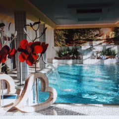 Thermen-Hotel Rottaler Hof - Bild 14