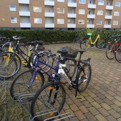 Strandperle - Bild 10