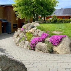 Naturstammhaus und Appartements Zum Brockenbäcker - Bild 8