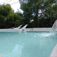 Casa Magnolias thumbnail 10