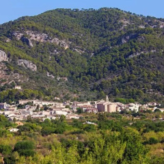 Senda Caimari - Bild 16