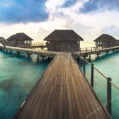 ClubMed Kani MALDIVES in North Male Atoll, Maldives from 191$, photos, reviews - zenhotels.com photo 13