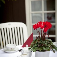 Hotel Borchers - Bild 12