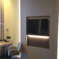Joya Wuhan Optics Valley thumbnail 3