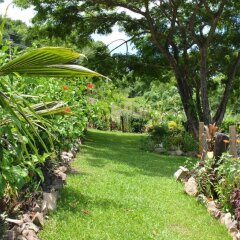 Fijian Oasis in Viti Levu, Fiji from 226$, photos, reviews - zenhotels.com photo 29