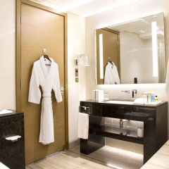 Hyatt Regency Dubai Creek Heights thumbnail 16
