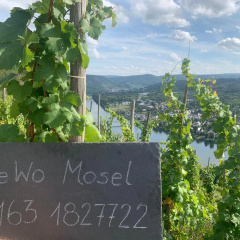 Ferienwohnung Mosel - Bild 7