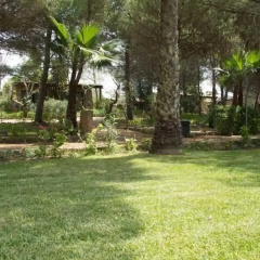 Tenuta Terenzano thumbnail 19