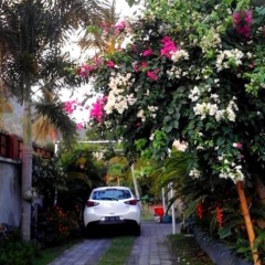 Villa Mantika - Bild 5