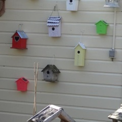 Bed&Breakfast de Noordeling - Bild 5