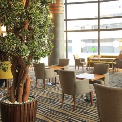 Naskon Sapphire Resort & Spa - Bild 25