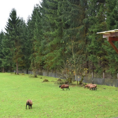 Modern Holiday Home in RÃ¼beland With a Garden - Bild 9