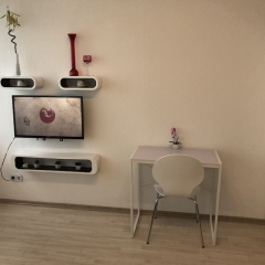 Apartment+WIFI near center Erlangen 1 - Bild 5