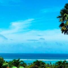 The Reef Palm in Mahe Island, Seychelles from 217$, photos, reviews - zenhotels.com photo 9