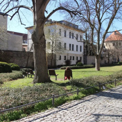Wimaria Apartments - Zentrum - Bild 10