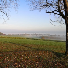 Landgasthof Zum Kirchenwirt - Bild 14