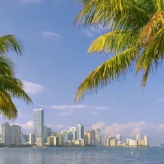 Hilton Miami Airport Blue Lagoon - Bild 26
