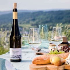 Weinvilla Heinrichshof - Bild 10