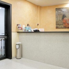 El Jardin - Bild 11