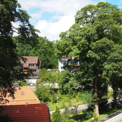 Apartment Harzgrün 2 - Bild 6