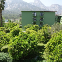 Blue Pine Hotel - Bild 18
