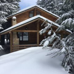 Uludag Orman Koskleri Sarialan - Bild 4