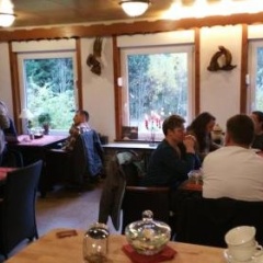 Waldcafe - Bild 13