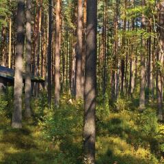 Rabarberi LV - SeaSide Village in Saulkrasti, Latvia from 124$, photos, reviews - zenhotels.com photo 43