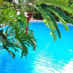 Yaguarete Lodge thumbnail 23