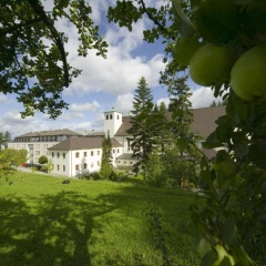 Kloster St. Josef - Bild 12