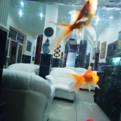 Vatan Otel - Bild 7