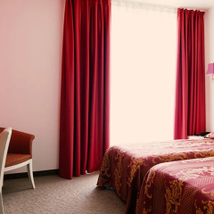 Palace Hotel La Conchiglia D'Oro