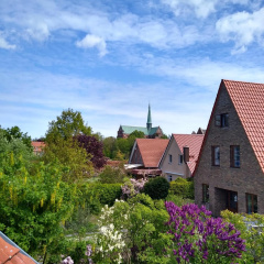 Münsterblick - Bild 9