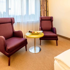 Plaza Premium Wien - Bild 16