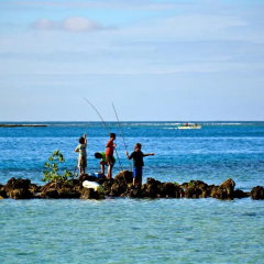 Te Ora Hau Ecolodge thumbnail 9