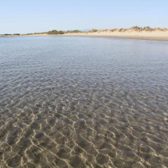 Marinagri Resort thumbnail 15