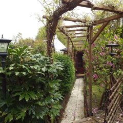 Woodpeckers Bed & Breakfast thumbnail 27