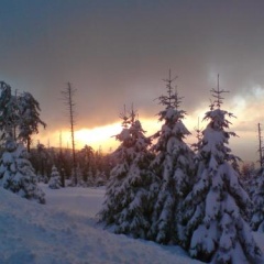 Brockenscheideck - Bild 12