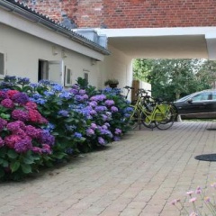 Stadtwohnungen 1 Bis 5 Hafenstra - Bild 11