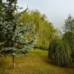 Guesthouse La Casa Del Conte thumbnail 2