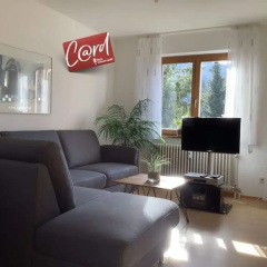 Appartementencomplex Titisee - Bild 2