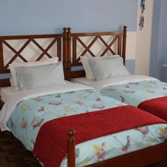 Tavira Guest - Bed & Breakfast thumbnail 5